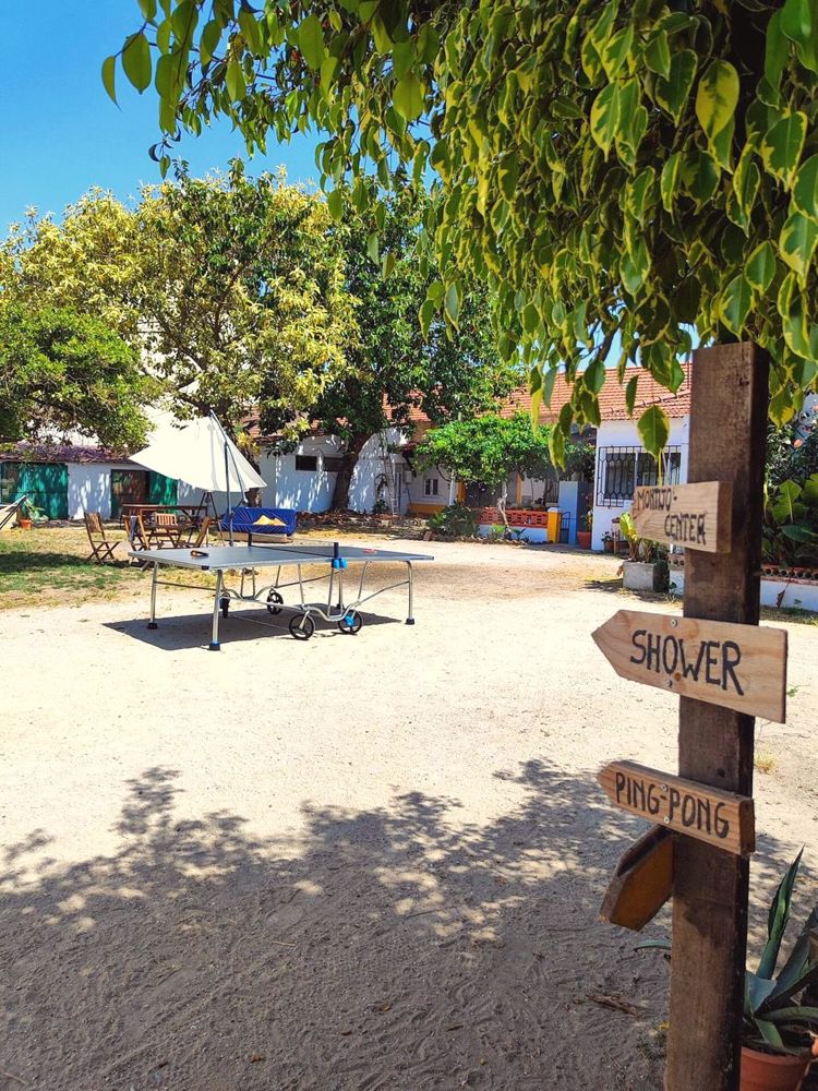 Hand-painted signposts in the yard