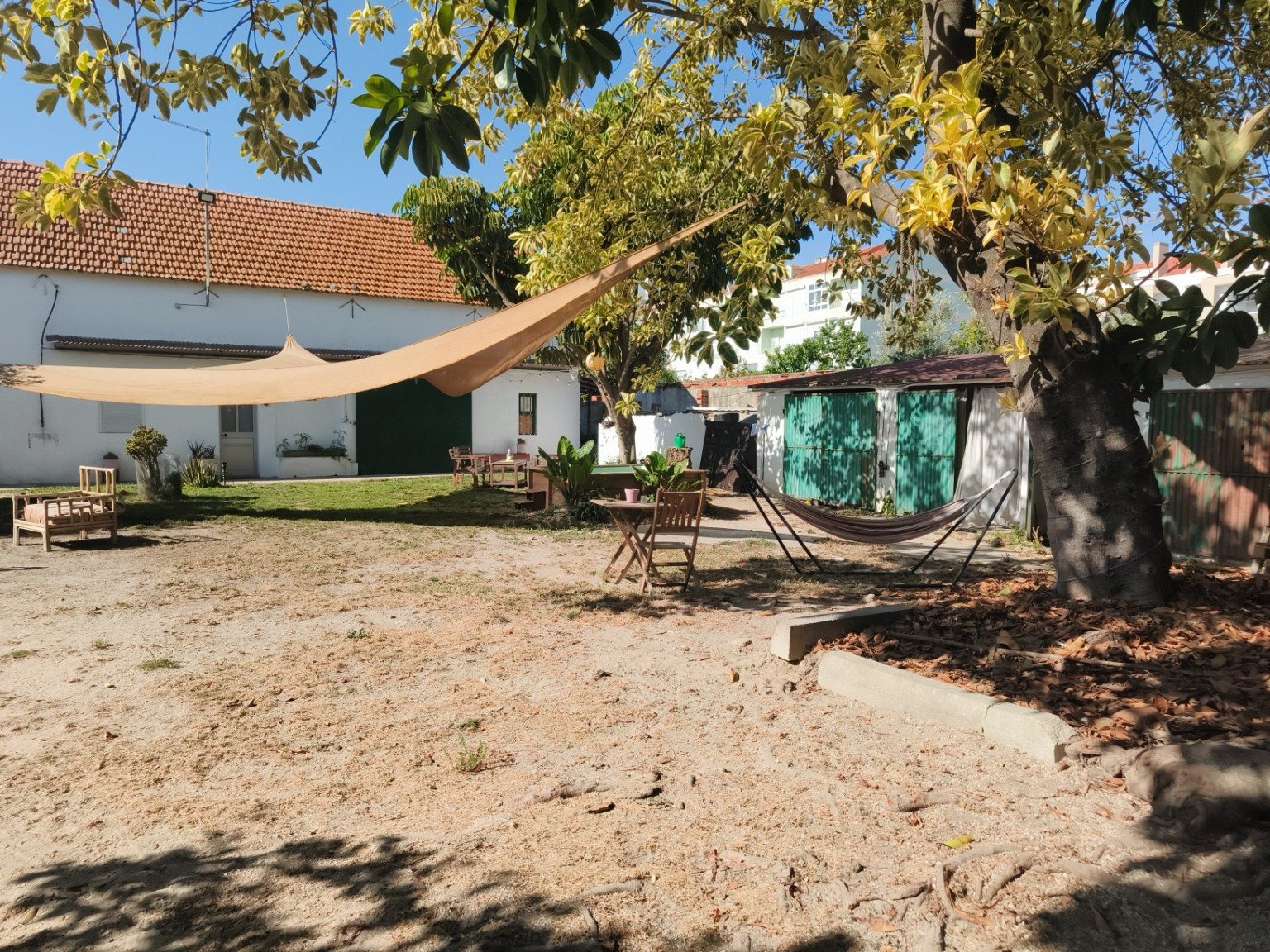 The courtyard under the trees