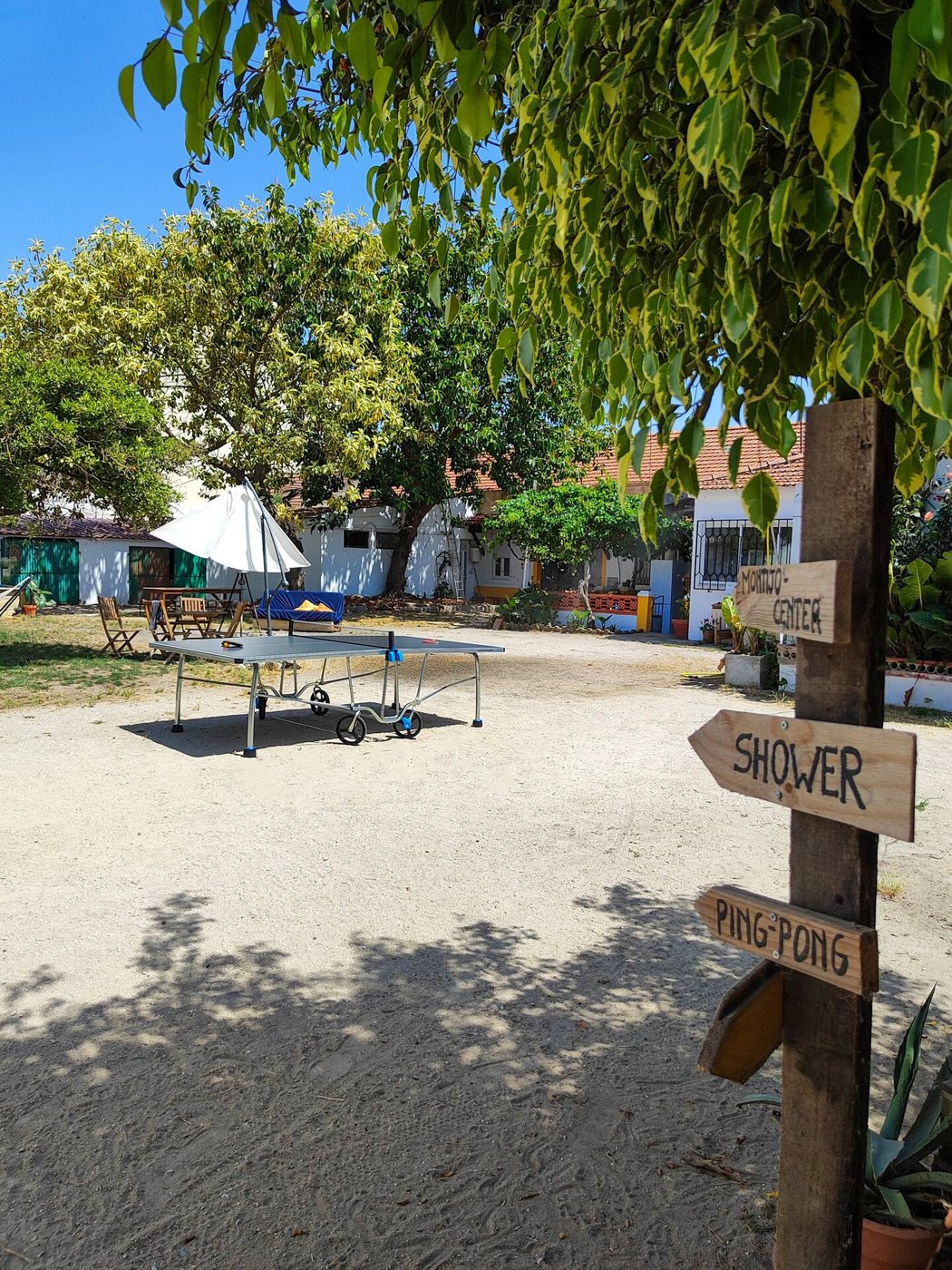 The yard with the ping-pong table and hand-painted signposts
